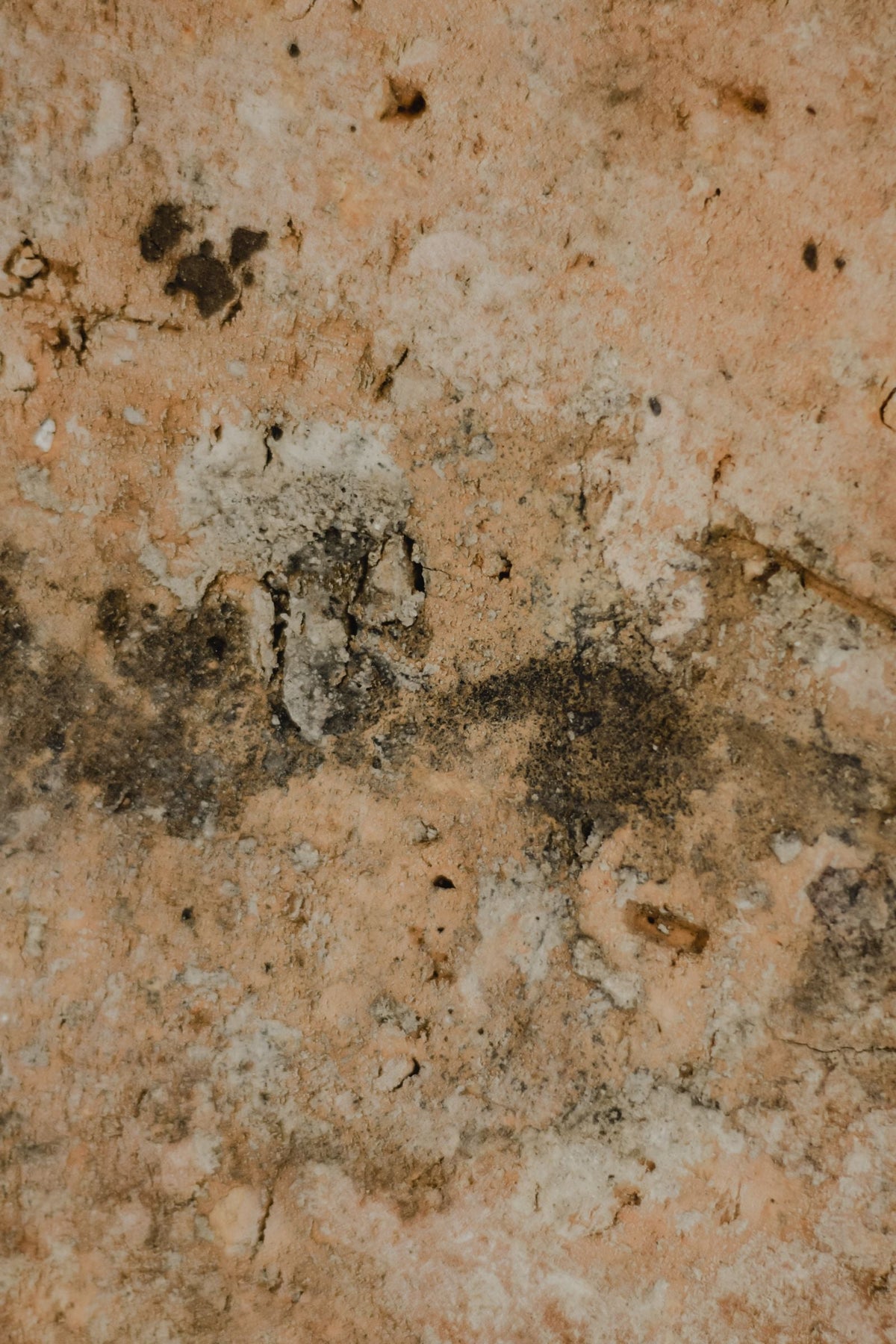 Close-up van een muur met schimmelvorming door langdurig vocht