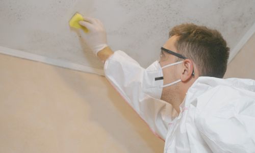Schimmel op een muur die wordt schoongemaakt